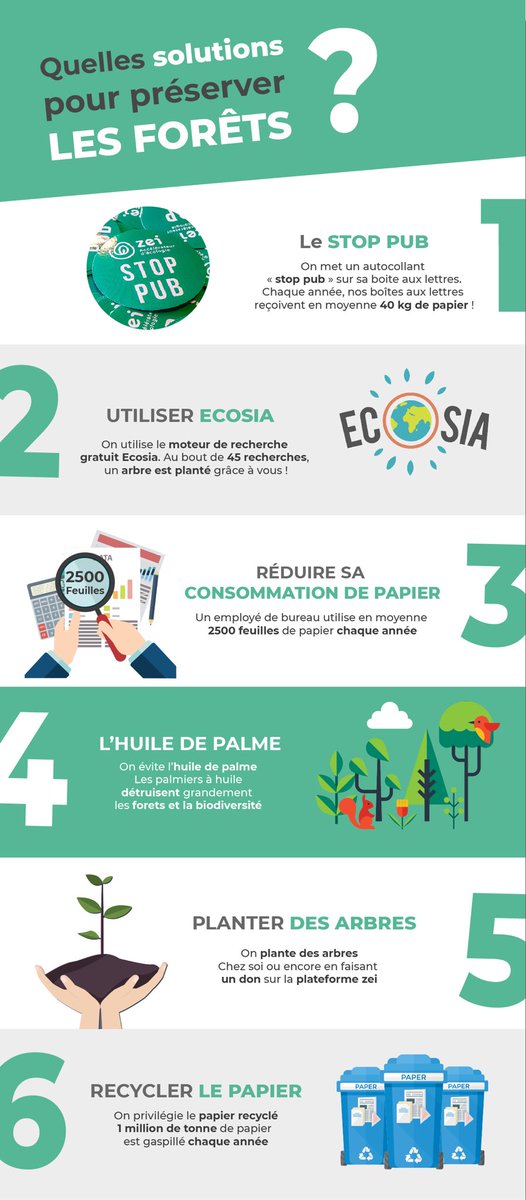 #INFOGRAPHIE 6 Gestes à adopter pour préserver les forêts, ça te branche? 🌳 👉🏽bit.ly/2JLMZpC