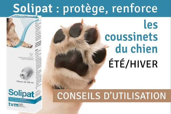 Connaissez-vous Solipat ? La protection ultime des coussinets pour #chien 🐶
auberdog.com/chiens/solipat…
