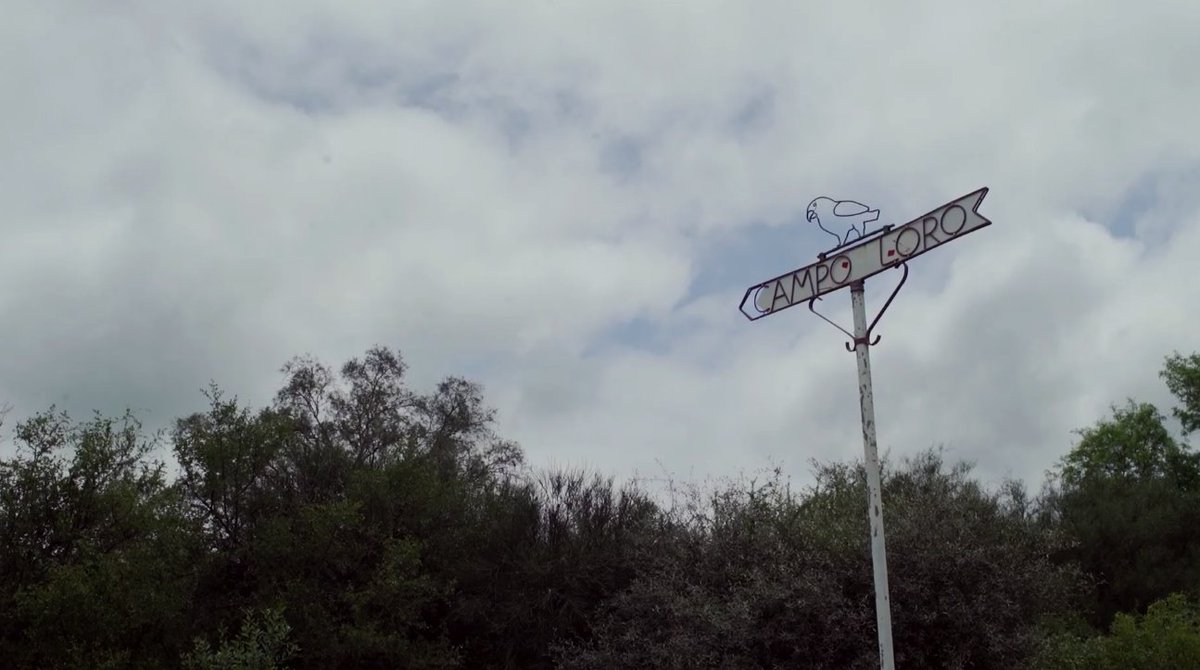 Filmosonido's tweet image. La necedad del hombre blanco, de la directora argentina Celeste Casco,  filmada en Paraguay y muestra el desplazamiento de comunidades indígenas  de sus tierras por la agroindustria. #Mix #PostAudio #Chile