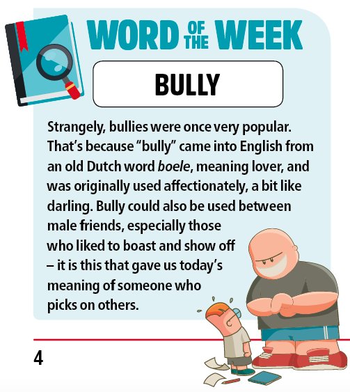 bully definition