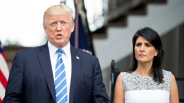 thehill tweet picture