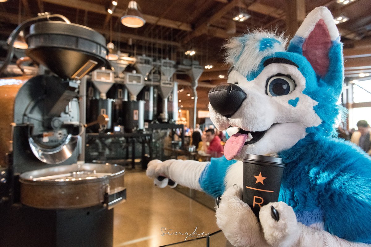 Blusicurl's tweet photo. Coffee? ☕️
I got everything you need! ☺️

#CoffeeDoggoBlu #FursuitFriday https://t.co/E8PpxoebYF