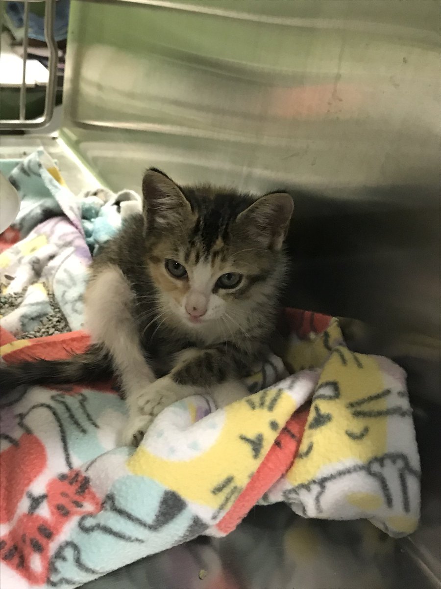 Come by the shelter sometime!