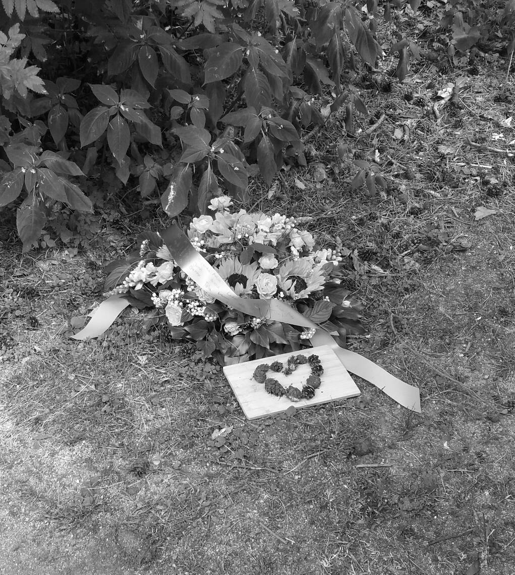SuperWoman_SWDD's tweet photo. #20180615 #BN #BW #fotodiario #SWfamily #acompañando #elhorror #decorazón #enpositivo #pena #dolor #pedacitosdeviernes #locosdelclic https://t.co/dHO58geYle