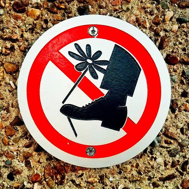 dracophoto.com/1346-2/