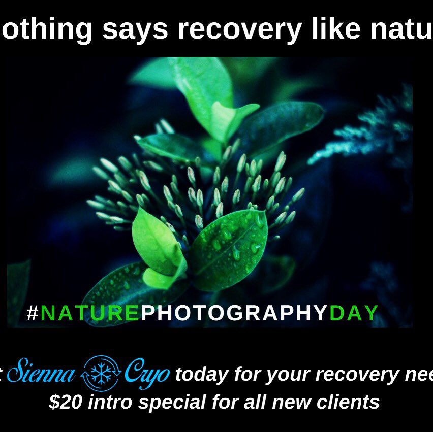 SiennaCryo's tweet photo. #NaturePhotographyDay after grabbing your nature pics, head on over to #SiennaCryo at 4340 Sienna Parkway @MissouriCityTX #cryotherapy #recoveryispossible https://t.co/yvkoPyBwDT