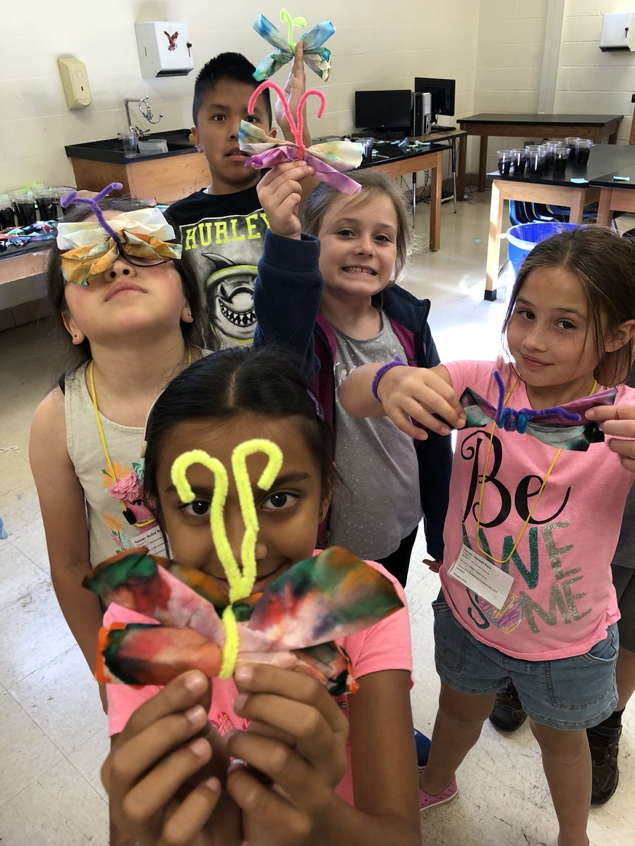 MsJ_Arnold88's tweet photo. Chromatography Butterflies and some four legged friends in Weird Science #EAsummerfun https://t.co/hcJiR0e7sR