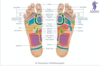ifwip.org/reflexology-pr…

Great article on reflexology during pregnancy and beyond on <a href="/IFWIP1/">IFWIP</a> website written by <a href="/SallyEarlam/">Sally Earlam</a>