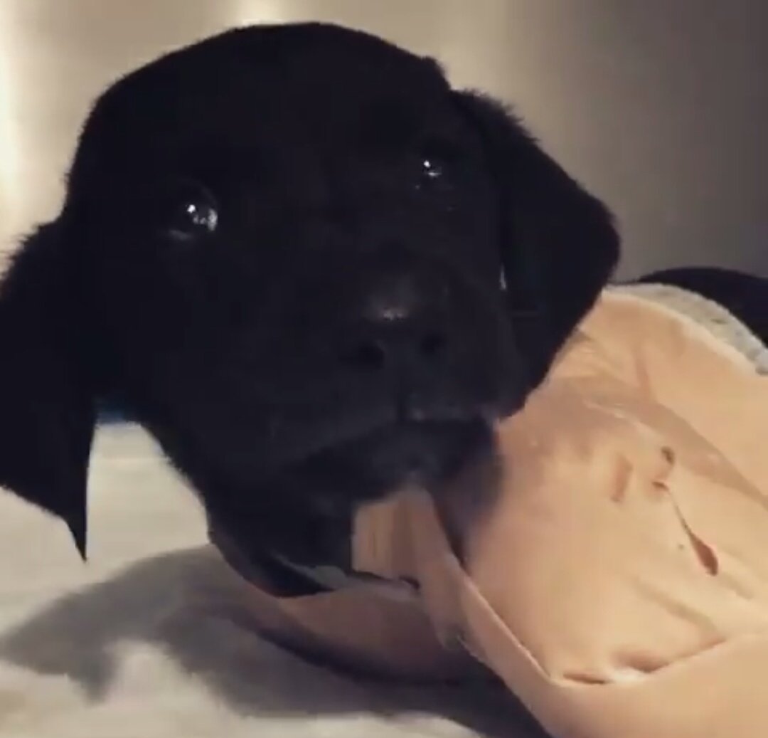 Yapan kimse, 625TL ödeyecek, o kadar. Yıllardır bunun mücadelesini veriyoruz. O köpek ilk ya da son değil...

Artık bize destek verin, gücümüz kalmadı!

Hayvana Şiddet Suç Sayılmalıdır! - Kampanyaya imza ver! chn.ge/2JS8Zzf <a href="/ChangeTR/">Change.org Türkiye</a> aracılığıyla
