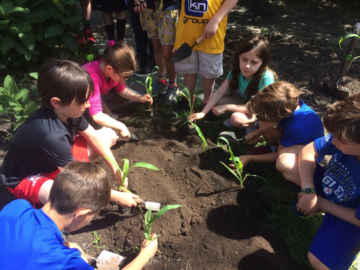 South School 🐝 tweet media