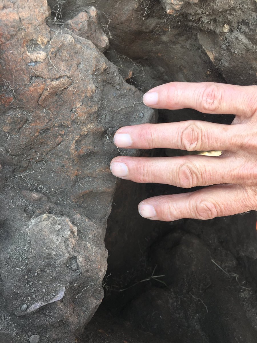 place_project's tweet photo. Sometimes we see traces of past societies, sometimes past communities, occasionally we find traces of an individual. In this instance the finger impressions on the clay lining of an ancient kiln #PLACE18 #archaeology https://t.co/OjG71IWPIo