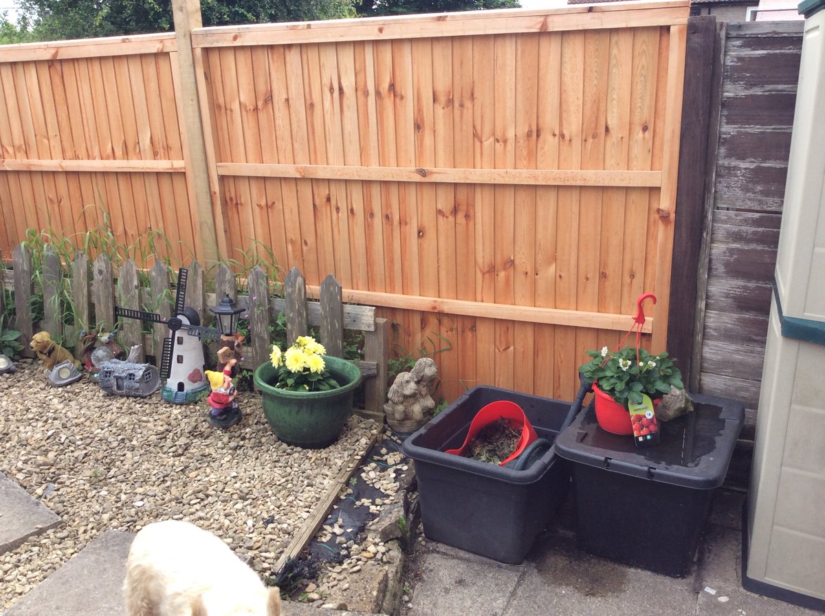 Jasonevans (@jasonev17800561) on Twitter photo 