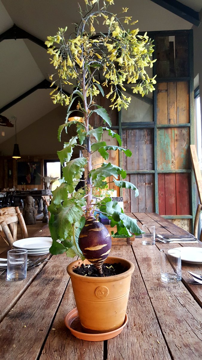 vegieguy's tweet photo. #Farmtofork at the #greenbarn !! https://t.co/zOiCwxfRfg