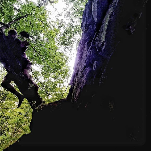 n_e_wilderness's tweet image. Wonderful specimen, well worth the climb up here. .
.
🍄
🔥
🍄
🔥
#firecraft #fomusfomentarius #falsetinderfungus #fungus #fungi #postapocalypticwanderer #postapocalypse #firecrafter #gatherer #sonsofnessmuk #skoglife