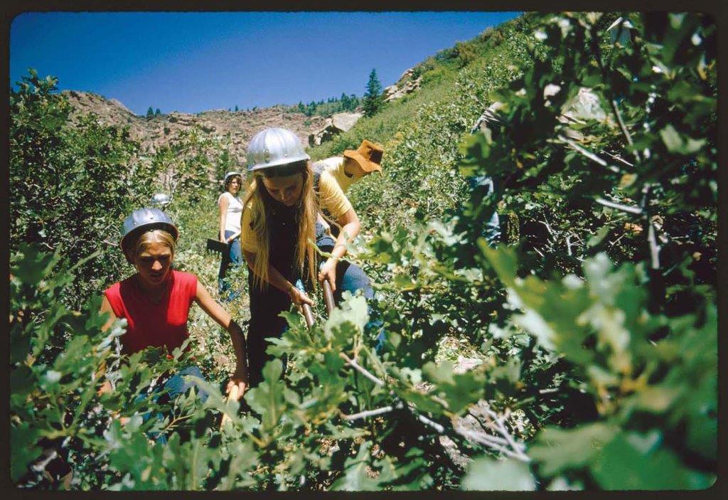 sitesExhibits's tweet photo. It's #NaturePhotographyDay!
Get outside and see the world around you! If you want some inspiration, enjoy these snaps from the #Documerica Project between 1971-1977
#Documerica, featuring the works of the @USNatArchives, returns to the road this fall https://t.co/d22gL4Us0h