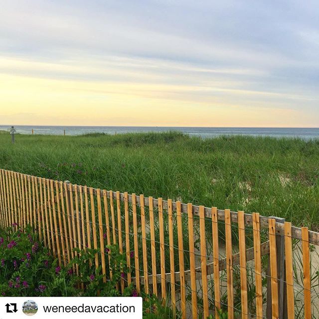 OrleansMA's tweet photo. 📸+📝 @weneedavacation ・・・ Twilight at Nauset 🌅 • • • • • #getbacktocapecod #capecod #capecodbeach #nauset #nausetbeach #skyporn #sunrise #sunsetlovers #cloudporn #sunsets #sunsetporn #sunset_madness #skylovers #sunset_pics #ocean #skyline… https://t.co/4Wxq1AkLsi https://t.co/rA0y55AEUq