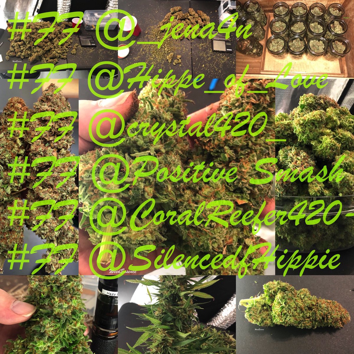 #FF 
@_jena4n
@Hippie_of_Love
@crystal420_
@CoralReefer420
@SilencedHippie

We all know #StonerGals rule 🌿💨💨😍
None more than these five absolutely awesome #StonerChicks 🌿 If u aren’t already following … Give them a follow now. U will not be disappointed I promise‼️Cheers!