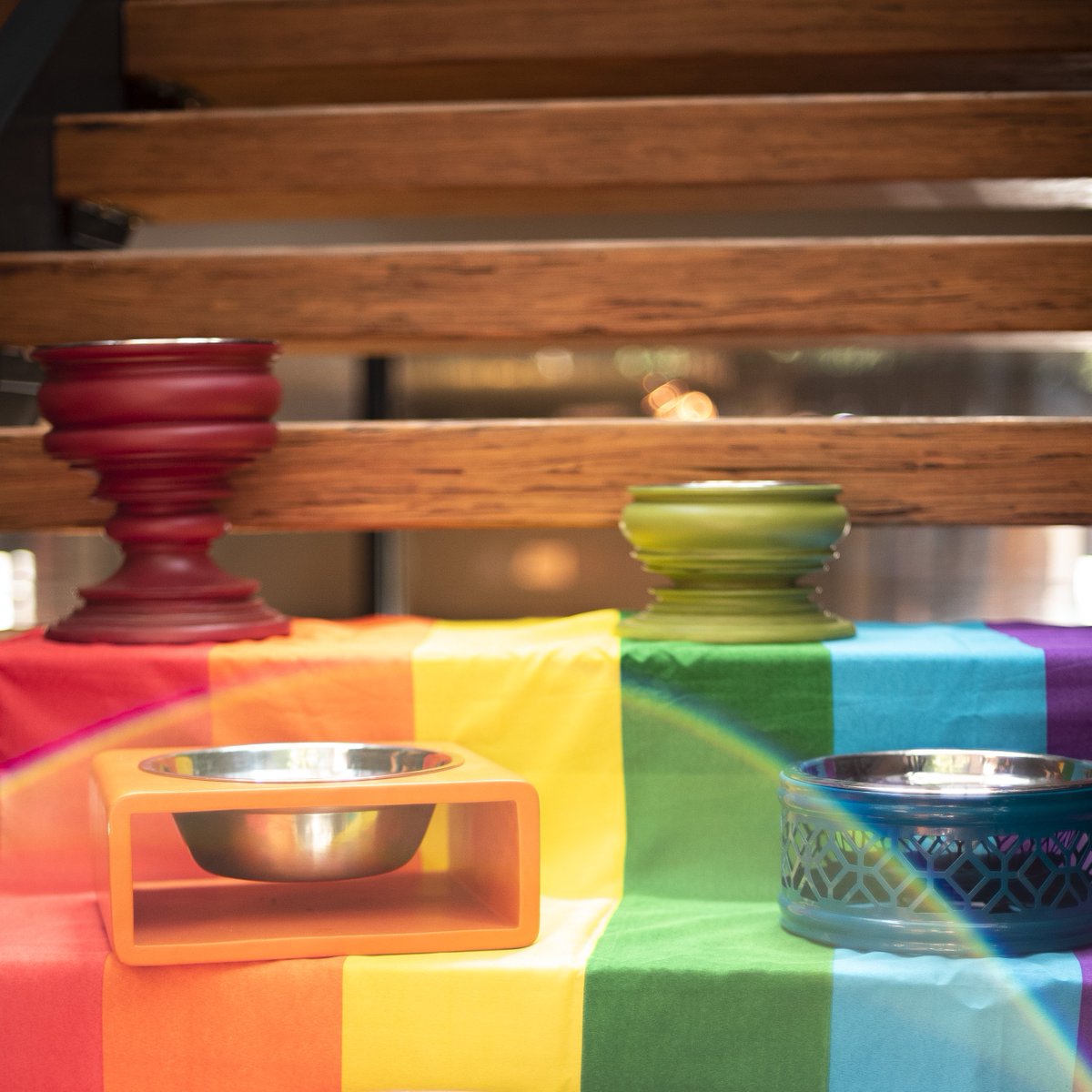 UnleashedLife's tweet photo. Celebrate your diversity🌈, and style🕶,  with one of our awesome bowls! Happy Pride Month! #🌈 #pride #pridefest #pridemonth #diversity #rainbow #weeklyfluff #petsofinstagram #petstagram #unleashedlife #style https://t.co/65M7QRu1XQ