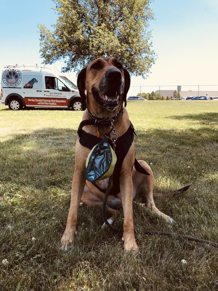 champagnegirlky's tweet photo. Excited to meet Ginger and her team from @dogshelpheroes for our Food Truck Friday event hosted by our GE Appliances Veterans Network. @GEAppliancesPR https://t.co/5wA5sR9Bhm