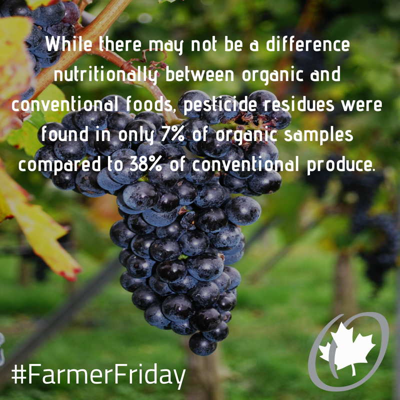 CanadaOrganic's tweet photo. Pesticide residues were found in only 7% of organic food samples compared to 38% with conventional foods! #FarmerFriday https://t.co/DrHQvI1nLu