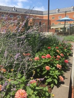 Rizzo Center tweet media