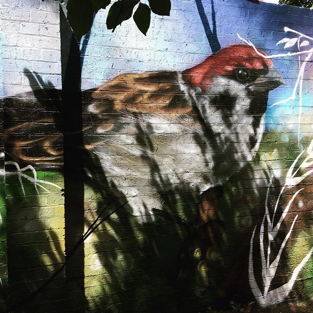 Third panel of giant #birds in Luxmore #Gardens in #Brockley #London #streetart #streetarteverywhere #spraypaint #art