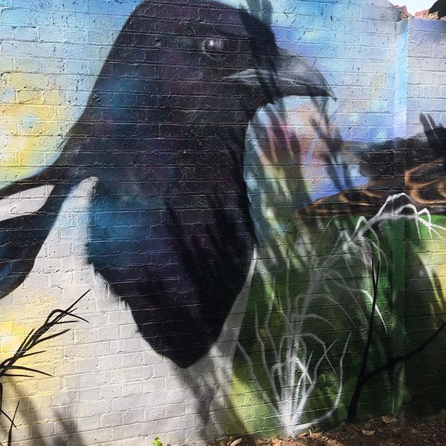 Something so soulful about this particular panel of giant birds in Luxmore Gardens by <a href="/aspireartwork/">aspire artwork</a> in #Brockley #London #southeastlondon #streetart #art