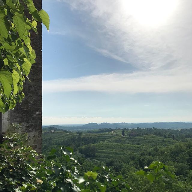 Rosazzo
Unfiltered beauty