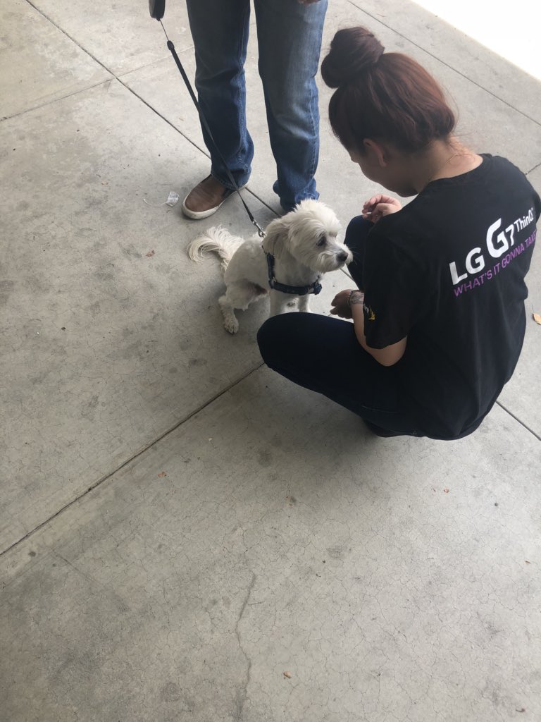 G7’s LOGO w/ waived activations!!!! <a href="/KristianAllos/">Kristian Allos</a> #LGG7ThinQ #LOGO