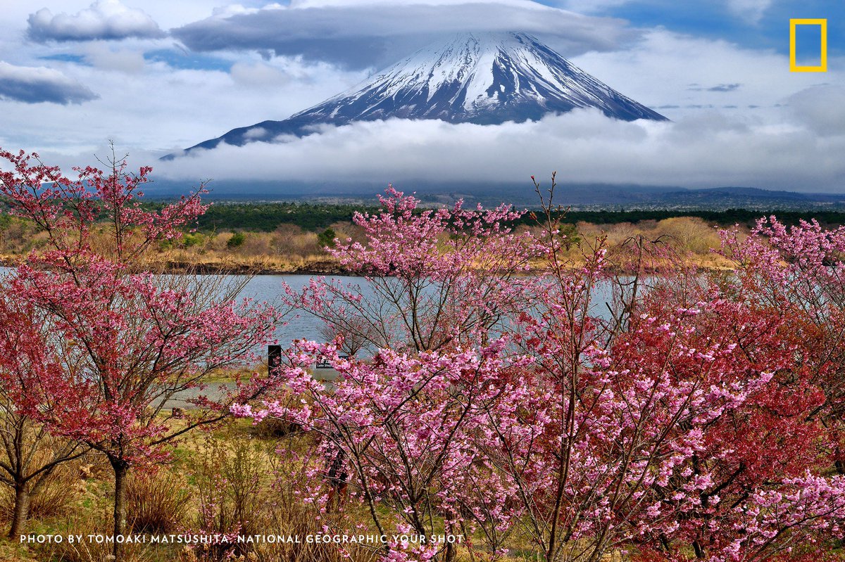 In our book, every day should be #NaturePhotographyDay! We would love to see some of your most precious photos from your travels... on.natgeo.com/2lefhhO