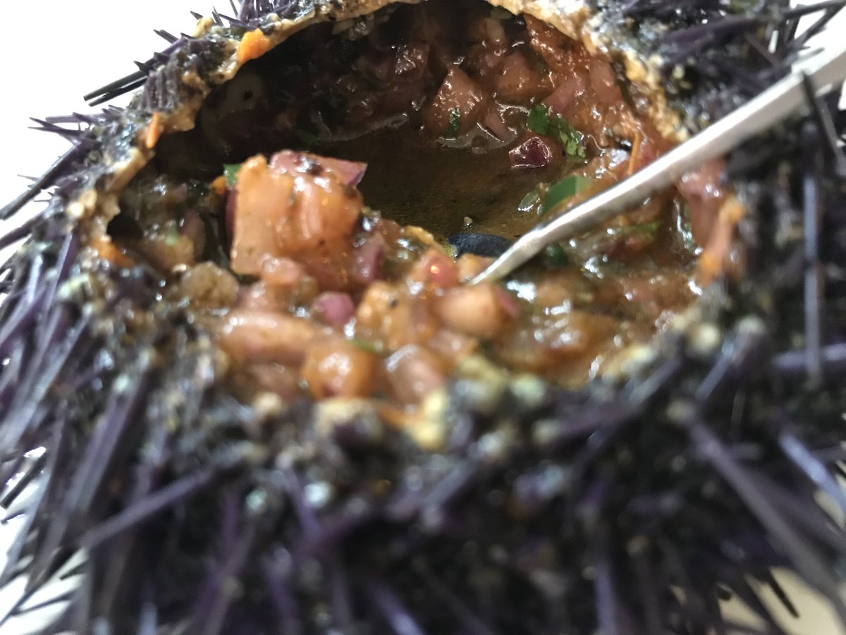 #España3 / #💃🏻#Portugal3 👏🏻👏🏻👏🏻 y ahora , a cenar a <a href="/LaTerrazadeAlba/">La Terraza de Alba</a> !! 🔝🥂👍 os esperamos !!!