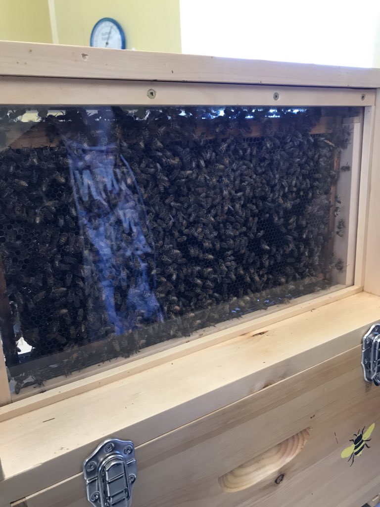 Thanks Wood ‘n’ Hive for the tour today!  Great info on bee keeping and honey production for Agriculture 11!