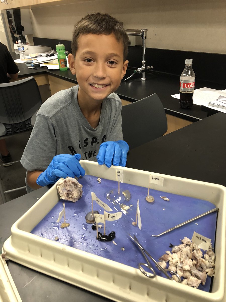 Day 5 of the Eastside Biomed summer camp for 6-8th grade students.  Today students participated in a visual perception lab and a cow eye dissection.  #STEMCamp #STEM #futurescientists