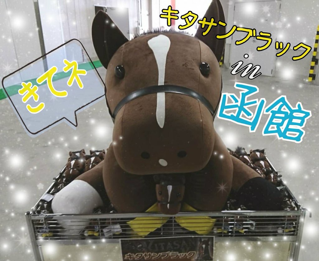 ターフィーショップ_JRA競馬グッズ on X: ターフィーショップ_JRA競馬グッズ on X: