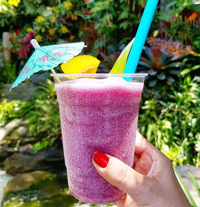 monicazyoung's tweet photo. It is hot at @disneyland however, you can beat the heat with this refreshing #JungleJulep available at #bengalbarbecue ($5.49 AP discount available)
#disneyeats #disneylandfood_ #disneylandfood #foodsofdisneyland #foodsofdisney #eatdisneyland #disneyfo… https://t.co/BIwWEqhmFI https://t.co/YzU8e0rhBX