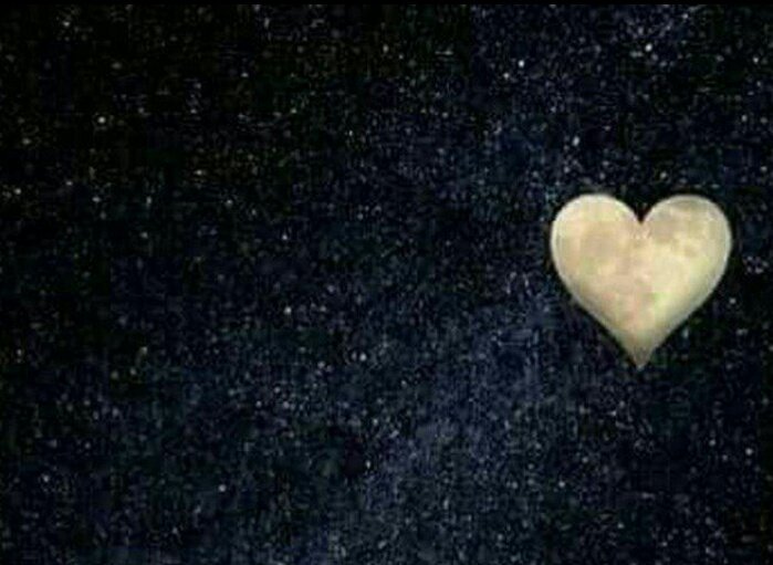 ‌
‌
 انا مو ذاك اليچلب بالذيال
اليصير تراب
اصير بوجهه ريح..‌

صبااااحووو 😏😏😏