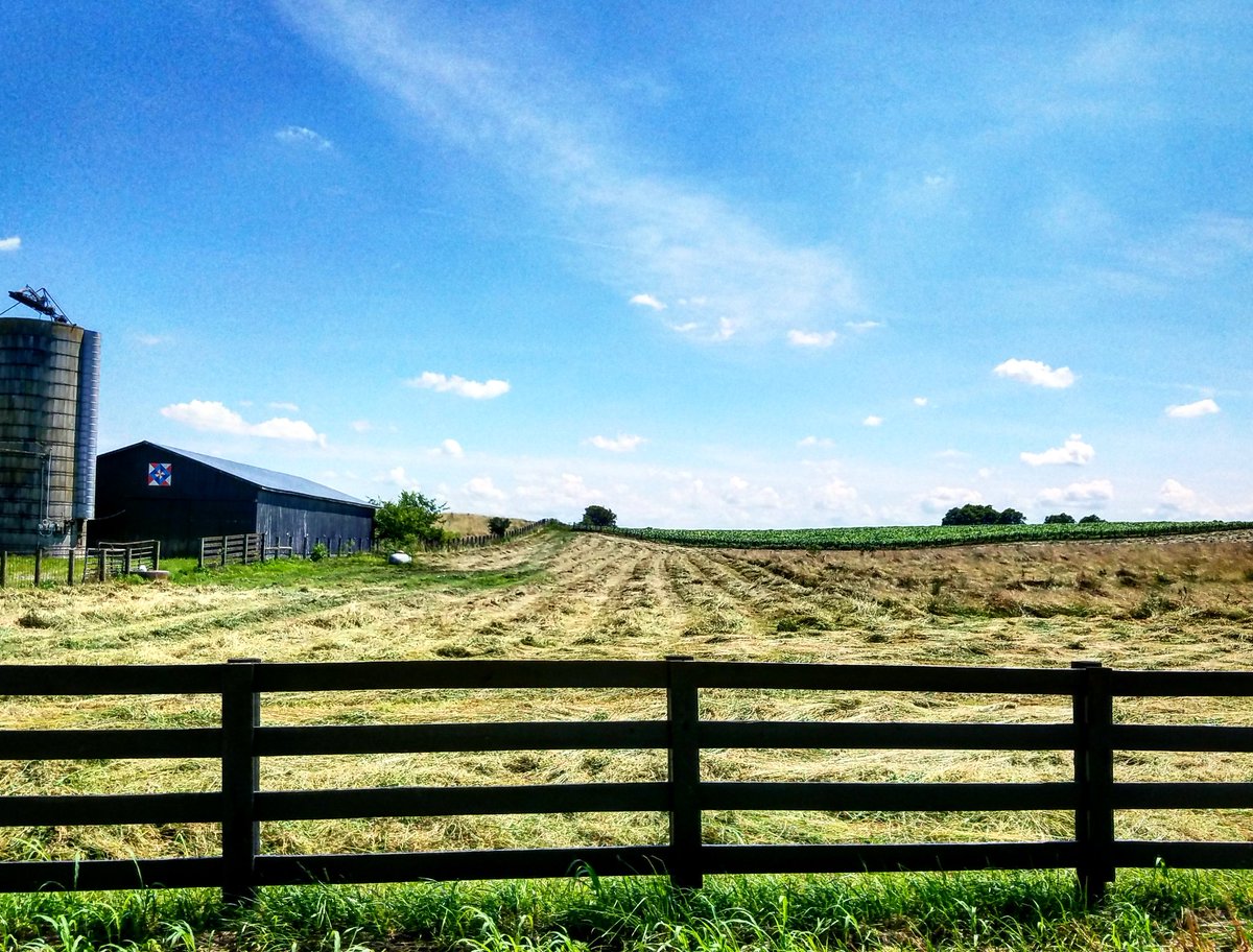 kentuckygirl_UK's tweet photo. Sometimes, you just gotta stop and smell the.. hay. ๐๐
~Garrard County #SweetSweetSummertime
@Kentuckyweather @BluegrassScenes https://t.co/ekVz7Svvi2