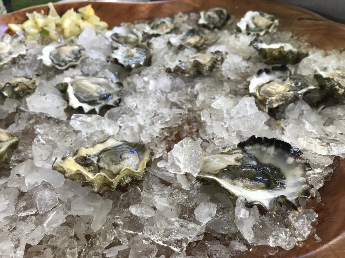 We’re at Shucked! The World’s Largest Happy Hour! We’ll be slurping down oysters from some of our favourite producers: <a href="/FannyBayOysters/">Fanny Bay Oysters</a>, Mac’s Oysters, <a href="/EffinghamOyster/">Effingham Oyster</a>, Sawmill Bay Oysters, Stellar Bar Shellfish, and of course <a href="/ShuckerPaddy/">Patrick McMurray</a>! #BCSeafoodFest