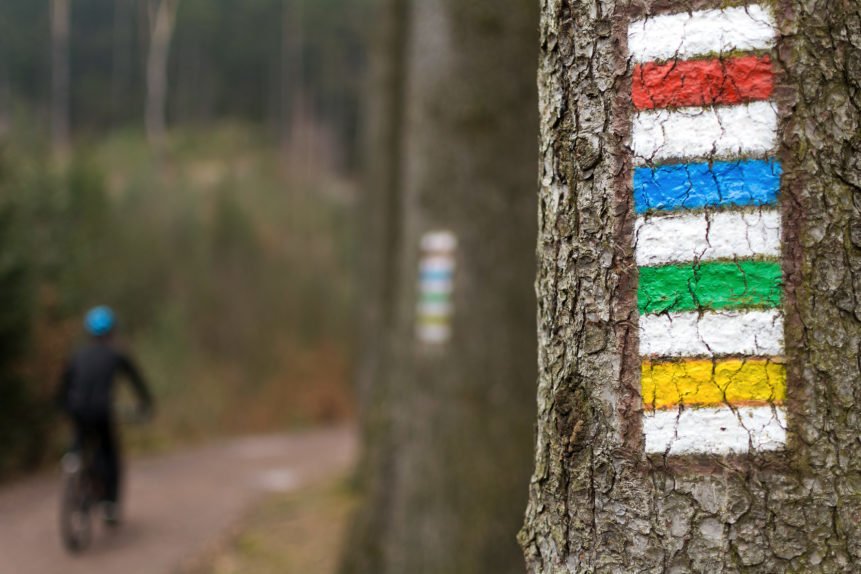 LibreShot's tweet photo. New #freestockphotos on @libreshot Tourist signs: https://t.co/Hk3l9qV5ar 

Tourist signs. Touristic mark on tree next to touristic path (mountain cyclist in background)

Public domain license

The post Tourist signs appeared first on LibreShot.

Nature, activity, adventure, bi… https://t.co/pn3SzrAzI4