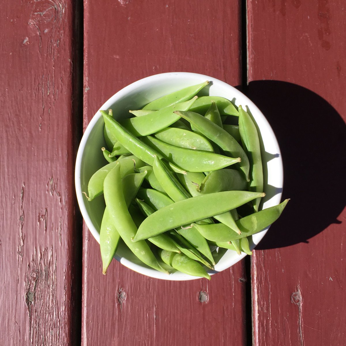Bridges_Cafe's tweet image. Sugar-snap peas! The key ingredient to next week’s special scramble with chèvre, carrots &amp;amp; red peppers.✨ If you’re not feeling the veggie option, go for our bacon explosion benedict for a meat-lover’s dream come true. 🥓💥 #pdxfood #baconexplosion