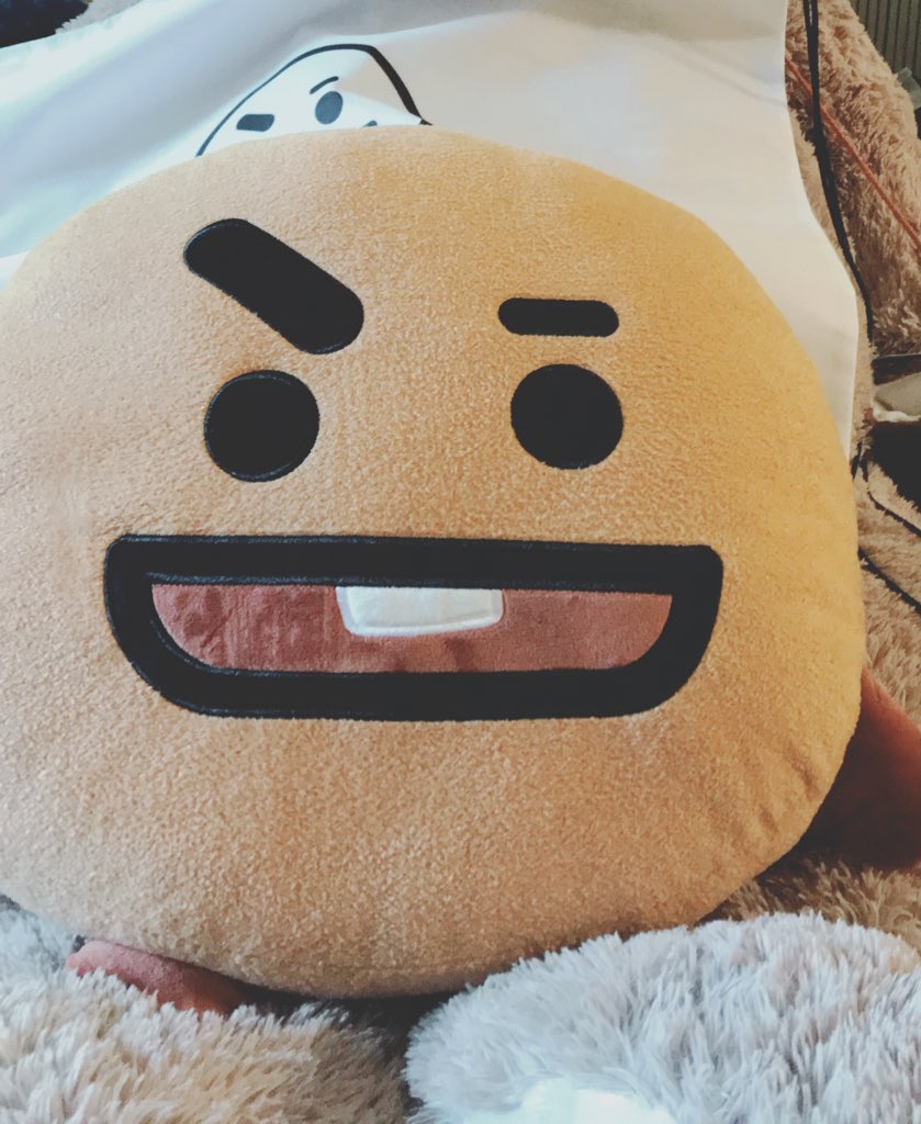 qqd_n's tweet photo. そういえば最近我が家に
ショキちゃんがやってきた🍪
#BT21 https://t.co/odReERlmO0