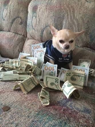 Ashton5SOS's tweet photo. @Michael5SOS @Luke5SOS @Calum5SOS Me over here https://t.co/cOFz9sgyKv