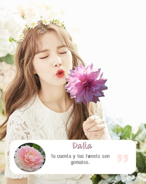 amatistadeleo's tweet photo. @SuHoBxG 🌺
* . · .
🌼
˚ . * 🌻
˚ 🌸 * . . .
* . * . Eres demasiado genial,
te quería dar lo de adorable pero ay.♡
PD: Tu otp con Laver también sería
genial ajio ajio ajio🌸
🌷 #AFlowerForYou https://t.co/wqlnXnwTJ6