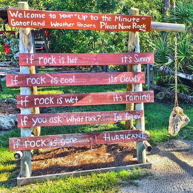 DJMEorlando's tweet photo. For those wondering, the rock is hot. #mykissimmee #instameetkissimmee #gatorland https://t.co/xtPd0VYe7q https://t.co/2eagzOrmvM