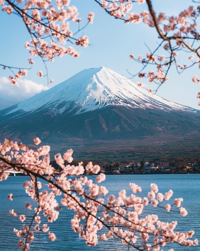Next stop on your voyage: Mt. Fuji
📸: @vincelimphoto .
.
.
#voyagerhq #travelstartup #startups #entrepreneurs #traveltech #bestvacations #beautifuldestinations #agameoftones #wildernessculture #awesome_earthpix #way2ill #folkscenery #earthpix #earthofficial #visualsoflife #t…
