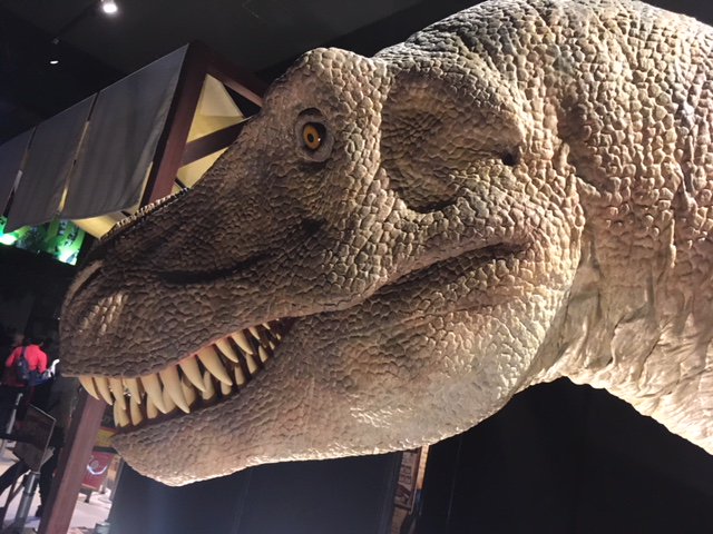 オービィ横浜 年12月31日閉館 No Twitter オービィ横浜イベント 恐竜ハンターキャンプ は6月17日で終了します 今日はティラノサウルスの様々な角度からのサービスショットを発信 顔ティラノ 足ティラノ 後ろティラノ 肌感ティラノ 待ってます