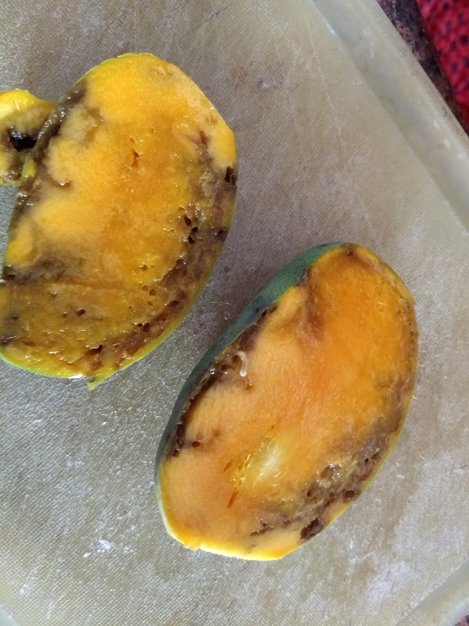 AB on X: @bigbasket_com supplied rotten mango with insects - send #daseri  instead of #kesar as billed  / X