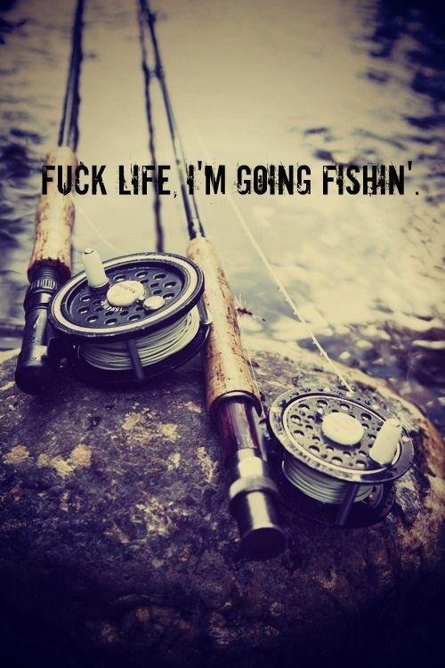 RedneckHQ's tweet photo. That about sums it up yall! https://t.co/U5Fbnn7StB