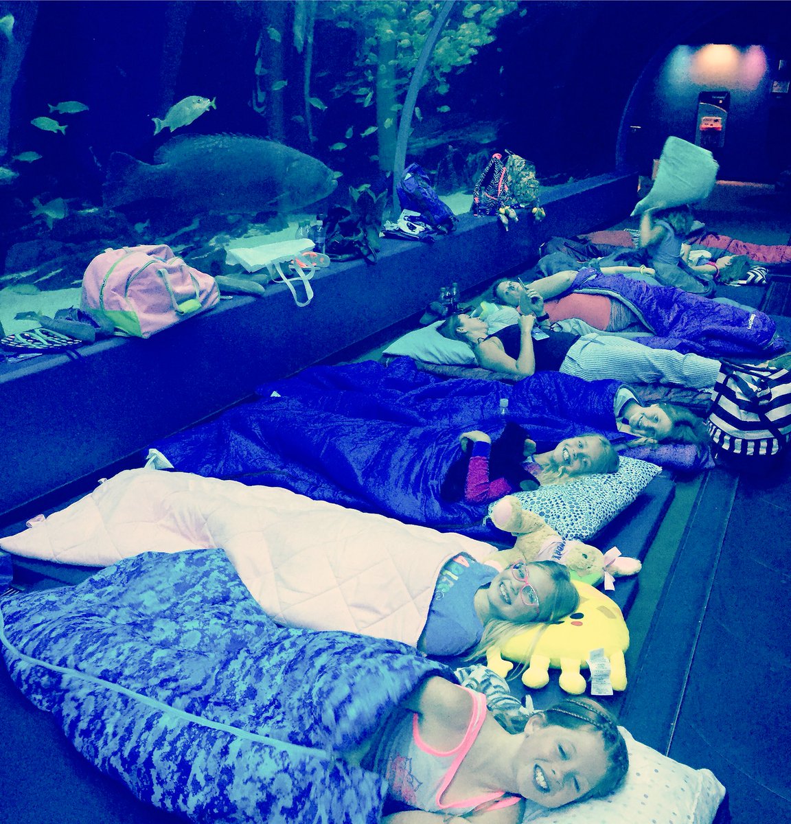 Behind the scenes sleepover <a href="/GeorgiaAquarium/">Georgia Aquarium</a>. So awesome!