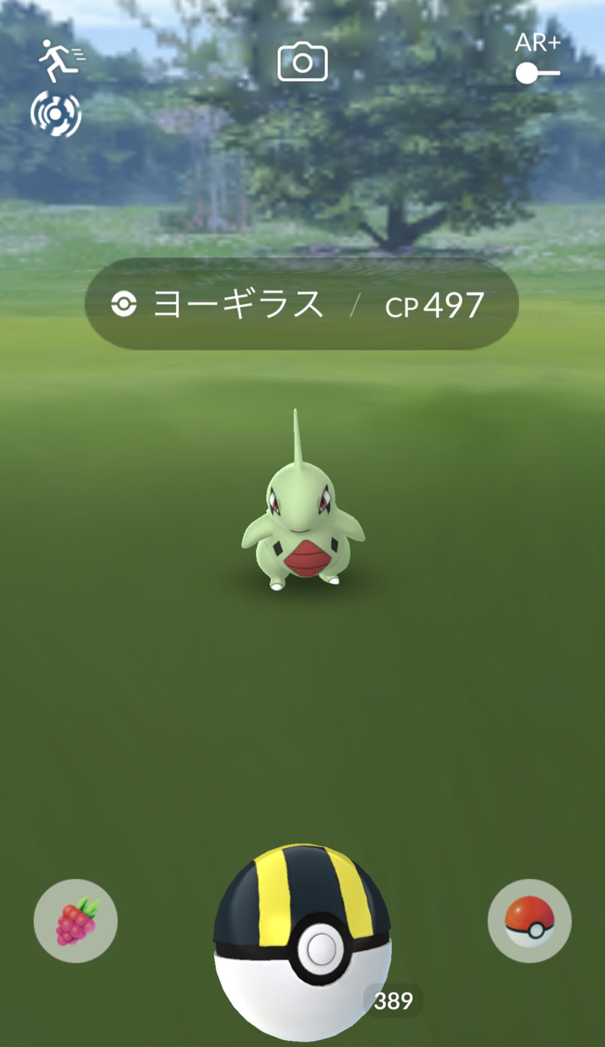 こし エラー連発でまともに捕まらないけど 今日もポケモンgoの聖地 錦糸町は賑わっております ポケモンgo ヨーギラス バンギラス コミュニティデイ 錦糸町 鯖落ち T Co X1f4paec7f Twitter